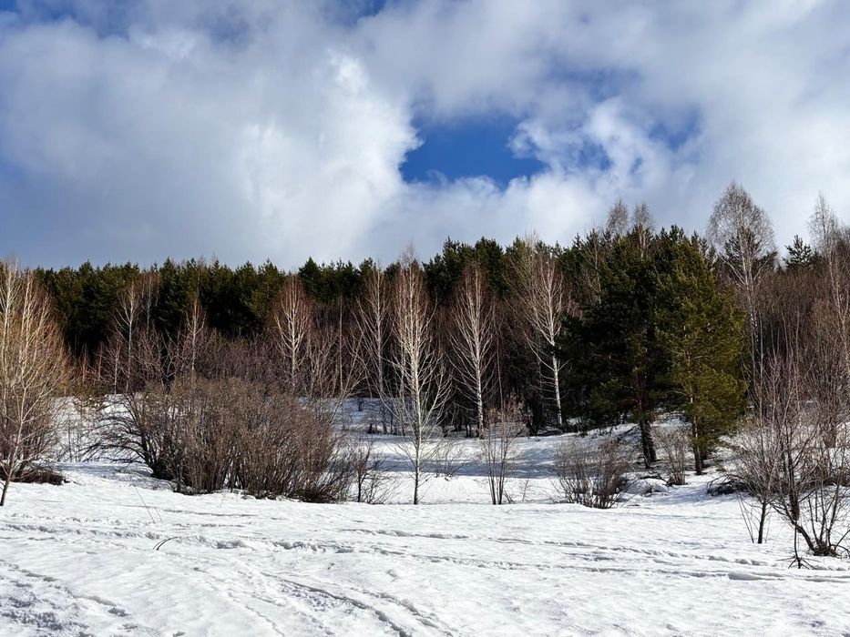 продам земельный участок