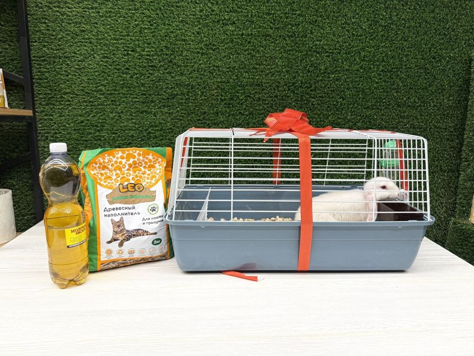 Quyon bolasi sovg'a uchun va maxsus qafas