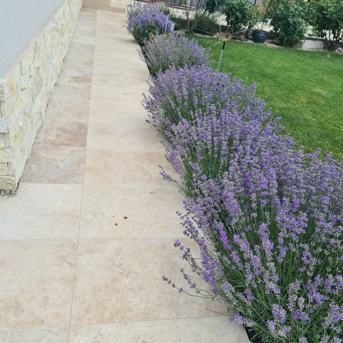 Travertin 40.6x61×1.2 antichizat