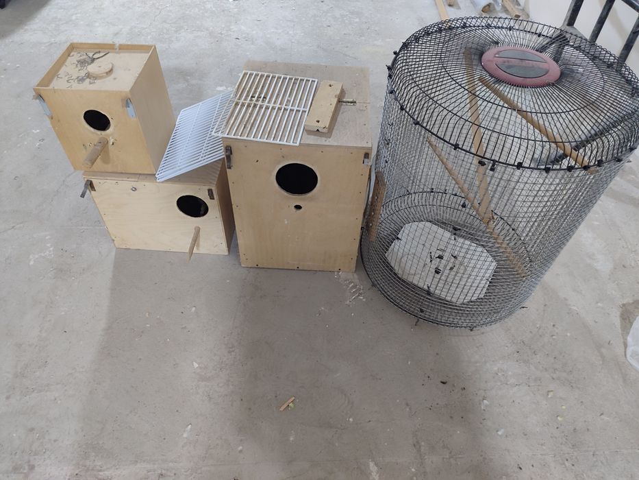 Qafas va Dublyonkalar 3-xil qushga tayorfanerdan