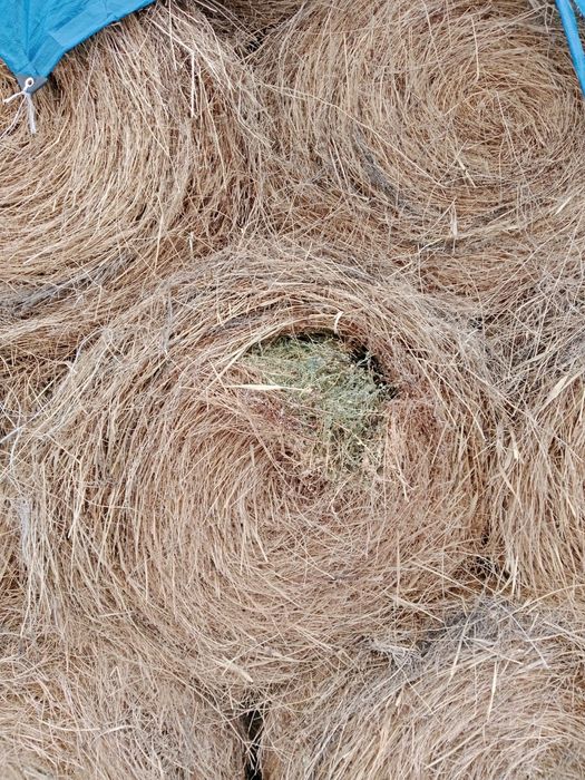 Рулон сена корм для животных