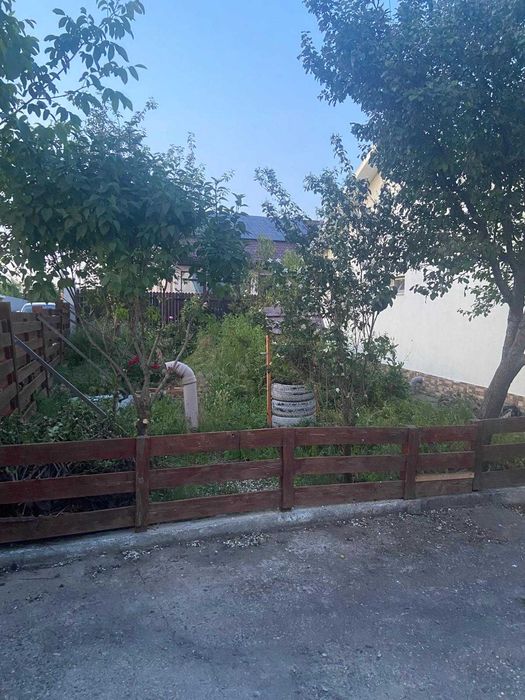 Casa de închiriat Branistea