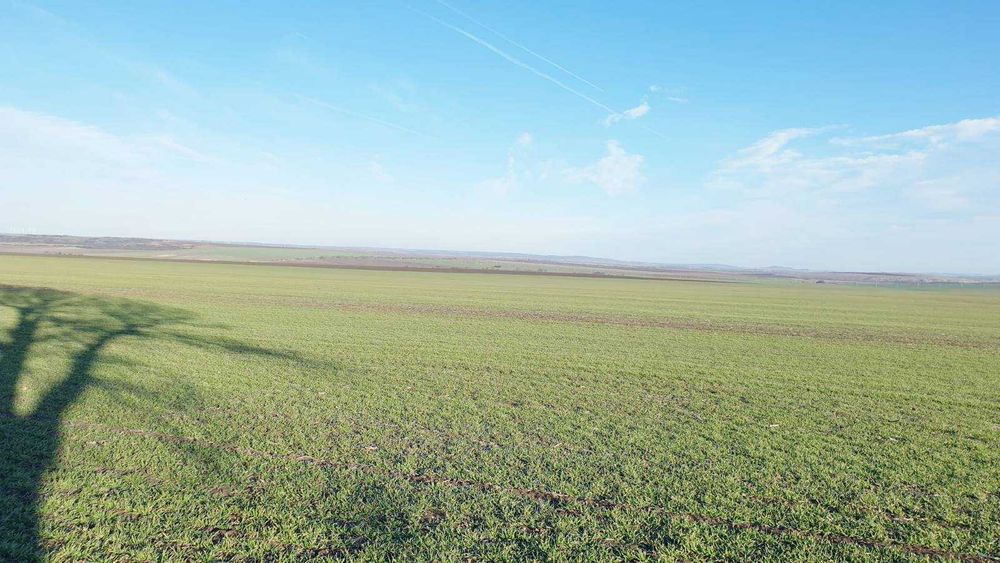 Продава се Земеделски имот в София, Люлин 1 -  кв.м за 509 €/дка - Снимка #2