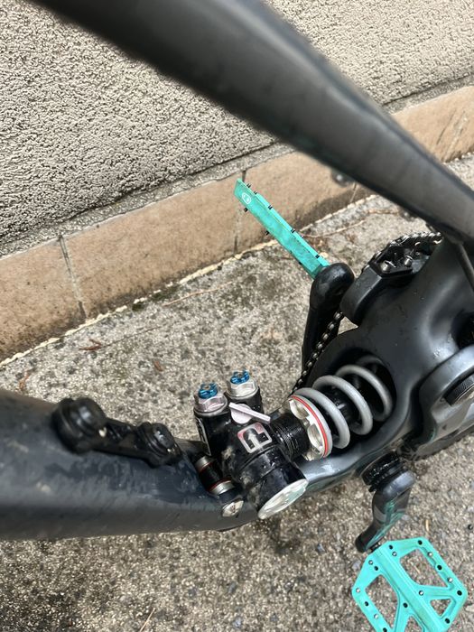 Forbidden Druid 2023