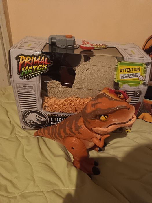 Колекцията на T-REX