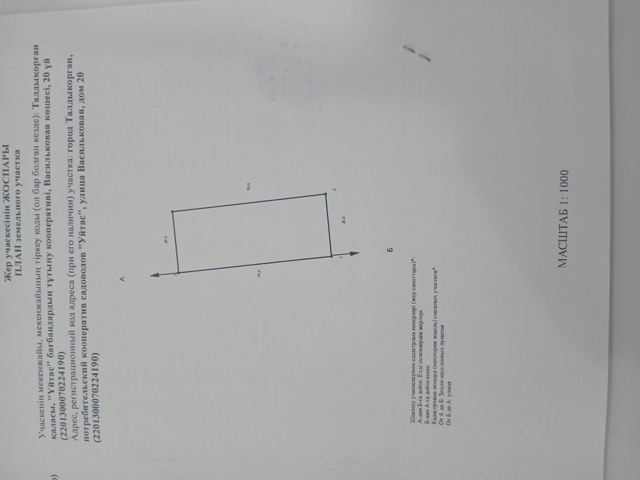 Үйтас Көктем василковая 20