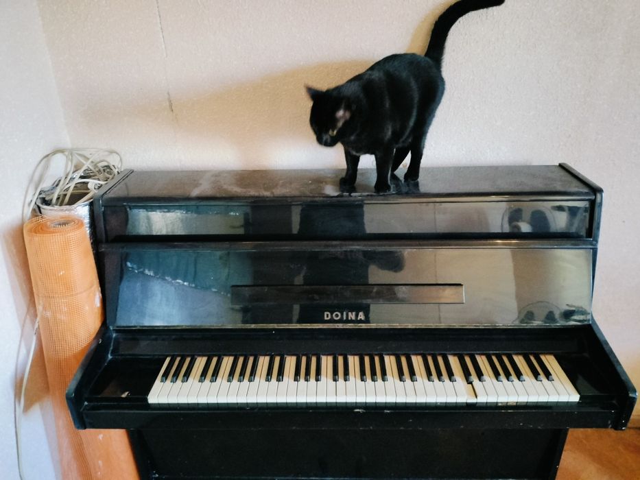 Vând o pianina Doina din anul 1983