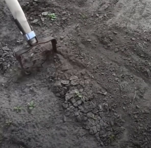 Бегона утлардан осон тозаловчи аспоб Полольник Стриж / Кетмон Лопата