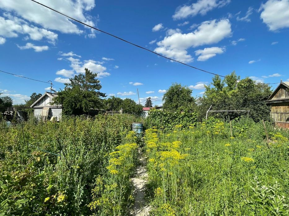 Продам дачу, недорога