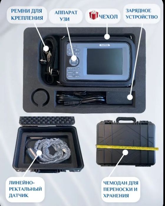 Аппарат УЗИ ветеринарный