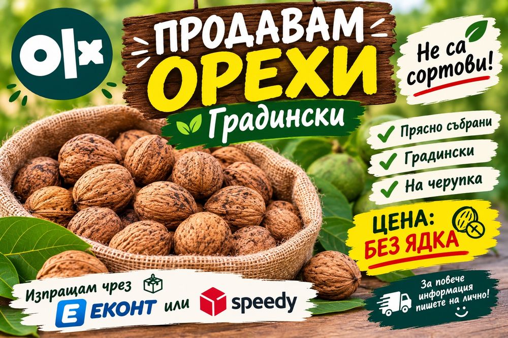 Орехи реколта 2025 г.