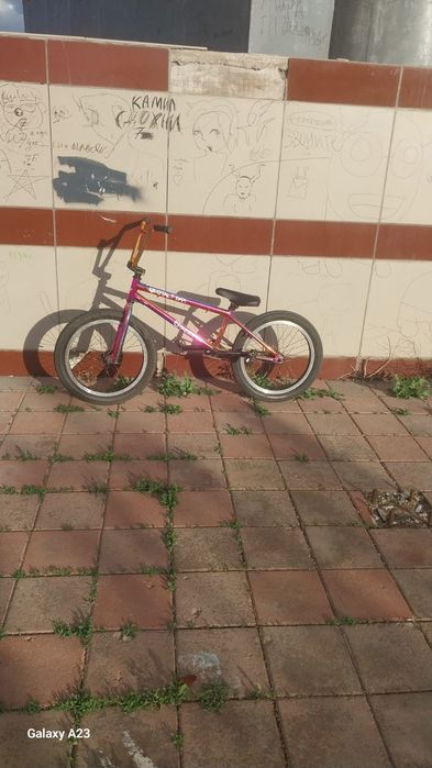 Bmx Gestal group 2025
