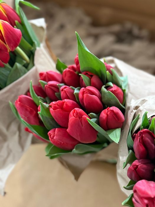 Тюльпаны на 8 марта