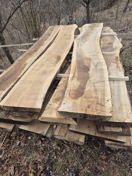 Vand lemn de nuc uscat debitat  7 cm latime pe 2,5 lungime i