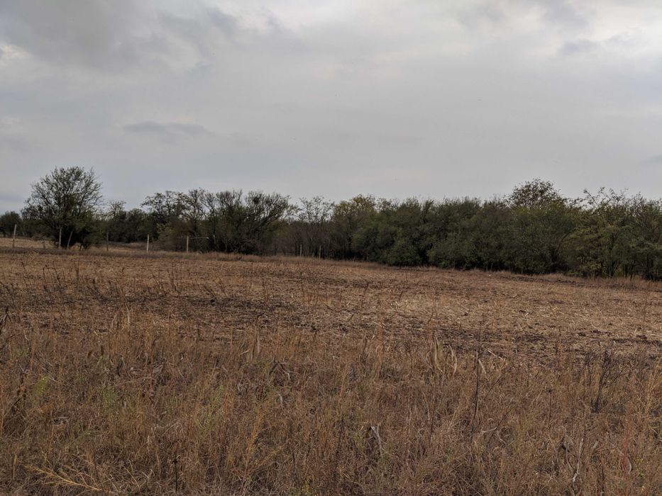 Продава се Парцел в с. Тригорци, Област Добрич - 2500 кв.м за 4 €/кв.м - Снимка #4