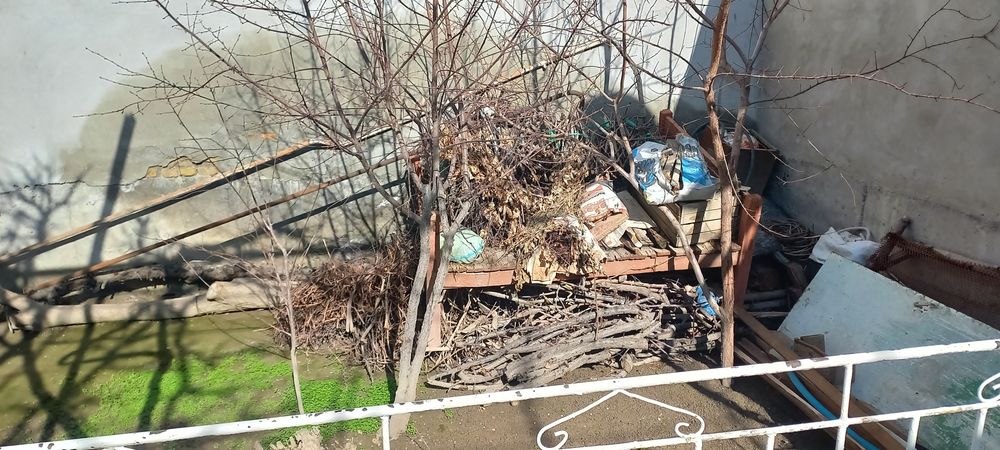 Quruq o'tin sotiladi