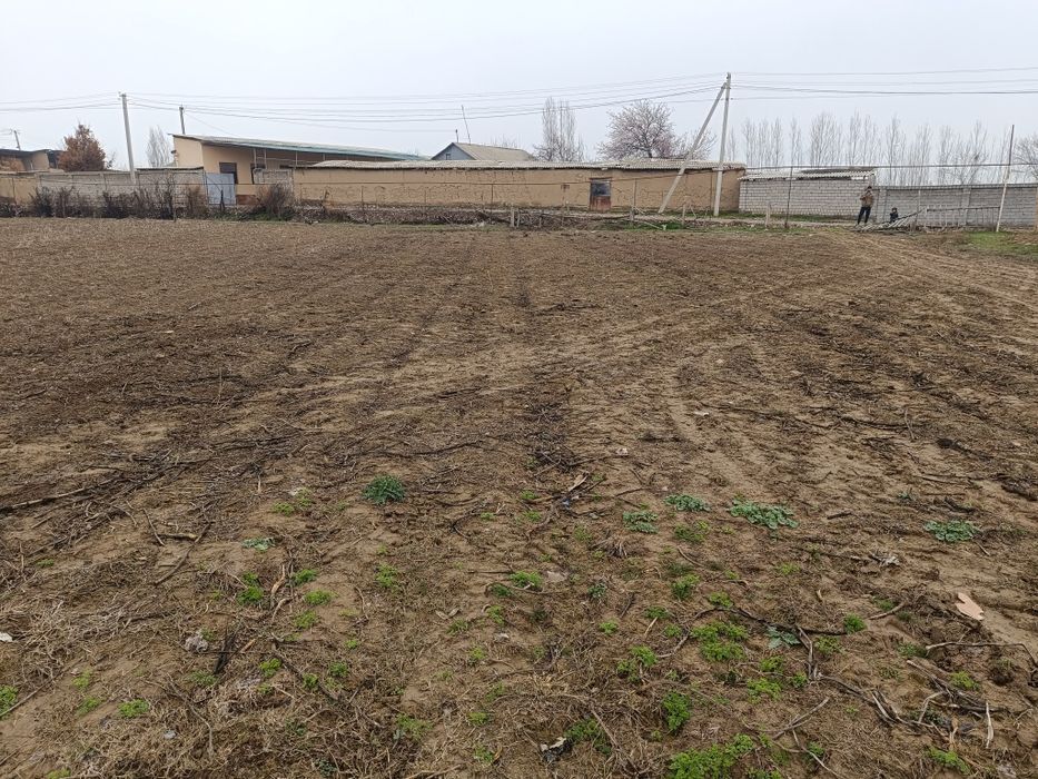 Участка 12 сотик