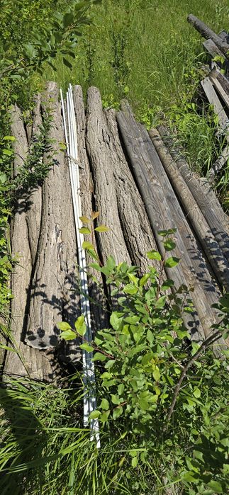 Stâlpi salcâm 2.3-2.5m pentru ponton sau gard