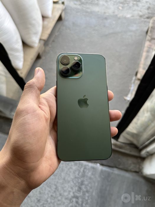 Iphone 13 pro max