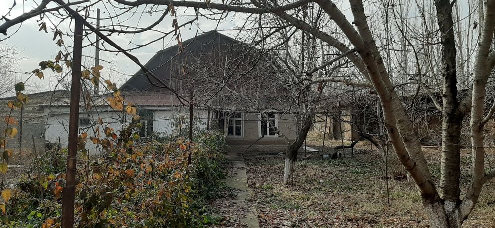 Дача сотилади товоксой