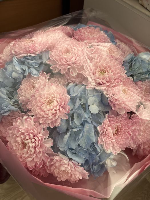 Свежие цветы, гүл