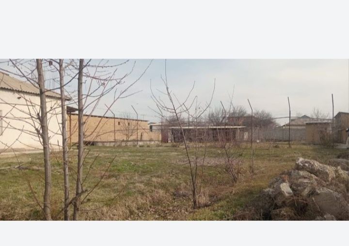 Сарыағаш Карлмакс Конаев 25 уй