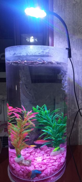 комплект аквариум  рыбки