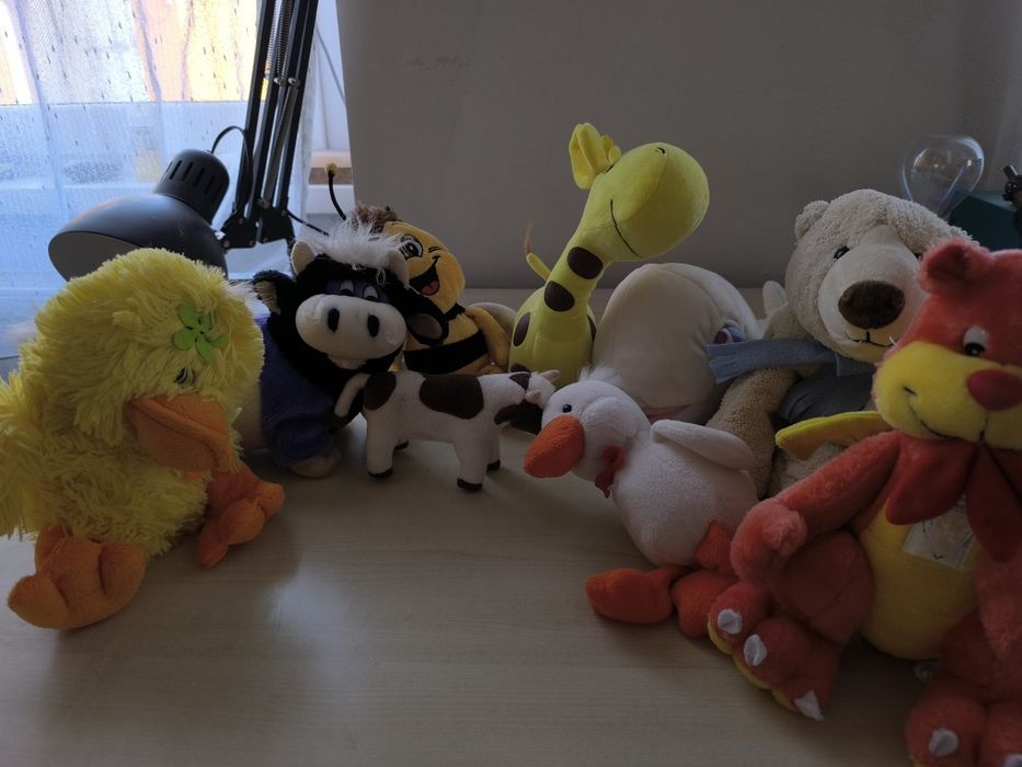 Pachet Plușuri diverse