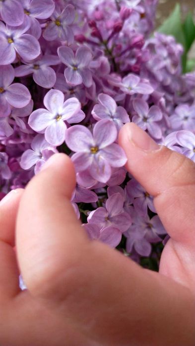 Продам дачу в черте города (район гипермаркет Анвар)