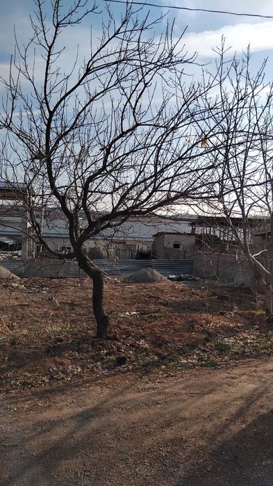 Кибрайда Срочно йер сотилади 1.5 соток