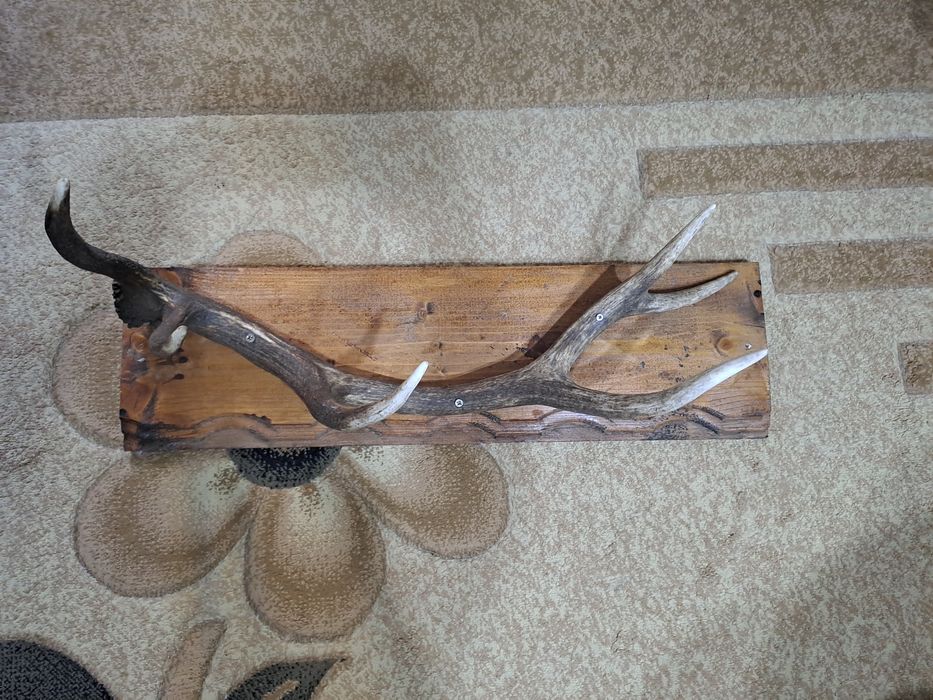 Закачалка от рог