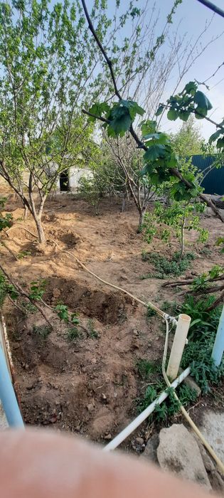 Дала ховли сотилади