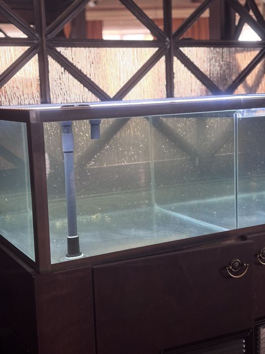 Чистка аквариумов