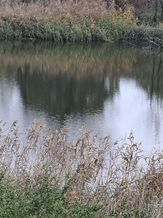 Oferta! Casa Cu Iesire Lac