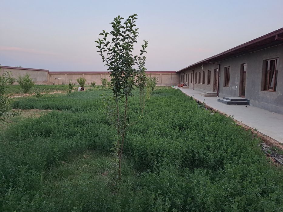 Чингелди М.Улугбекский р-н! Про-ся 25-соток дом 6-комнат