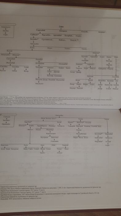 Хардкорлық порно фильміндегі Зена жұлдызын қараңыз