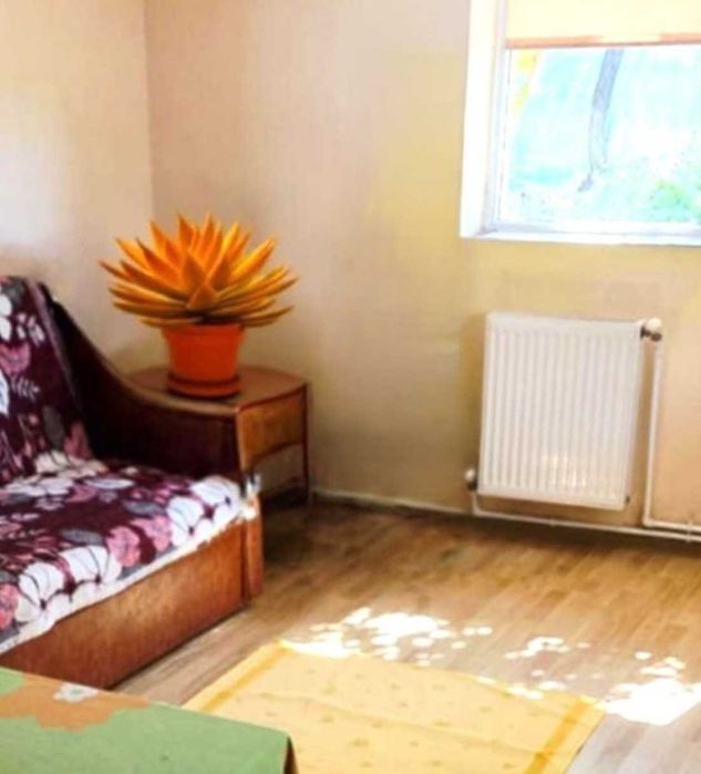 Casă cu grădină mare și vie, Odaia Manolache – toate utilitățile!