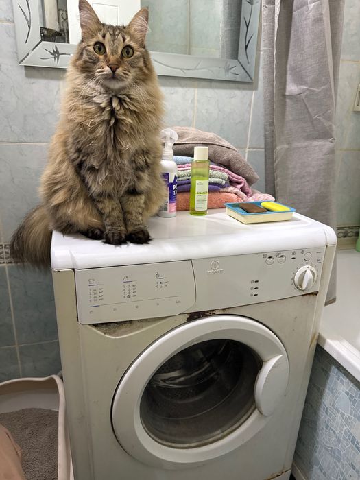 Indesit Стиральная машина