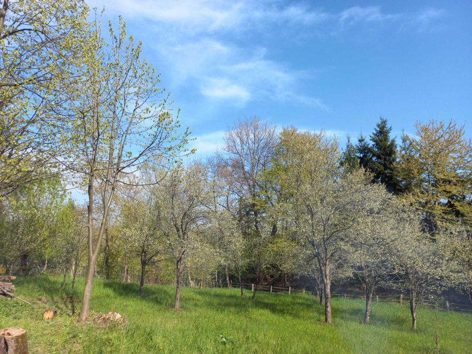 Teren de vanzare - Breaza - 1950mp