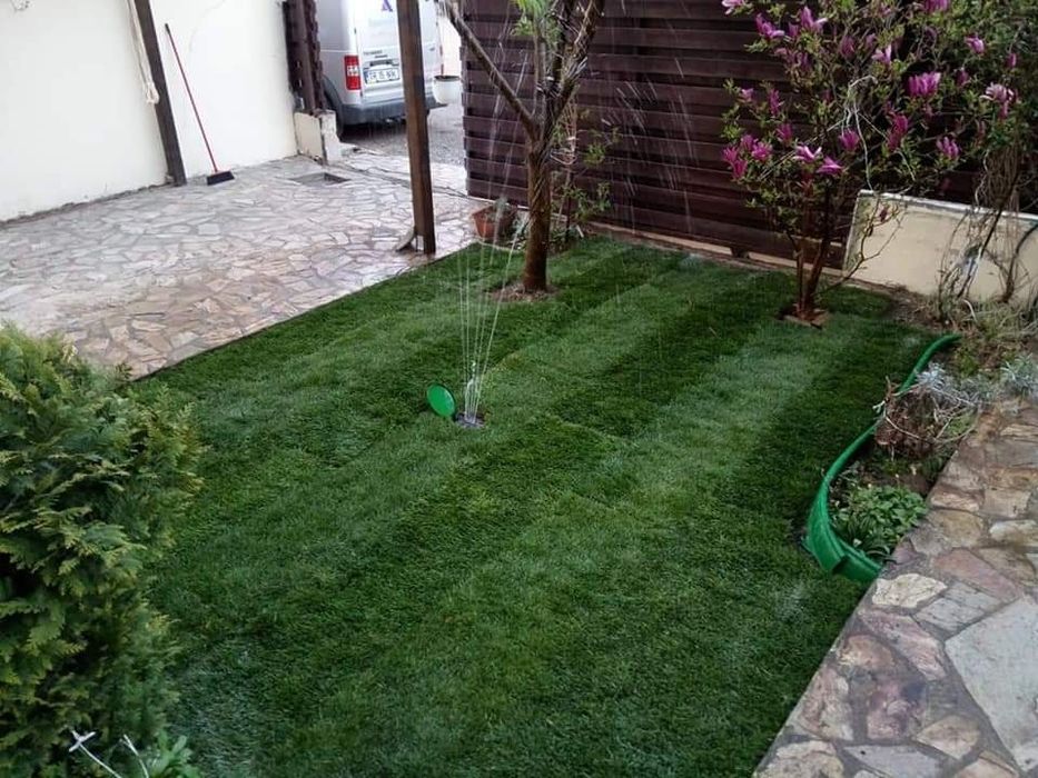 Vând plante ornamentale oriunde în țară execut grătare cascade cu tot