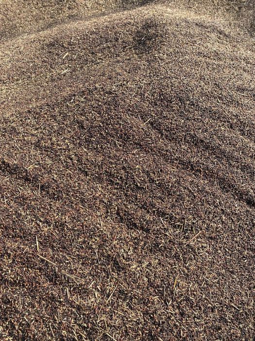 Суданка круги сотилади