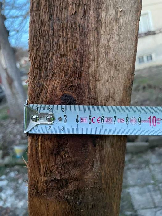 Талпи от различни размери