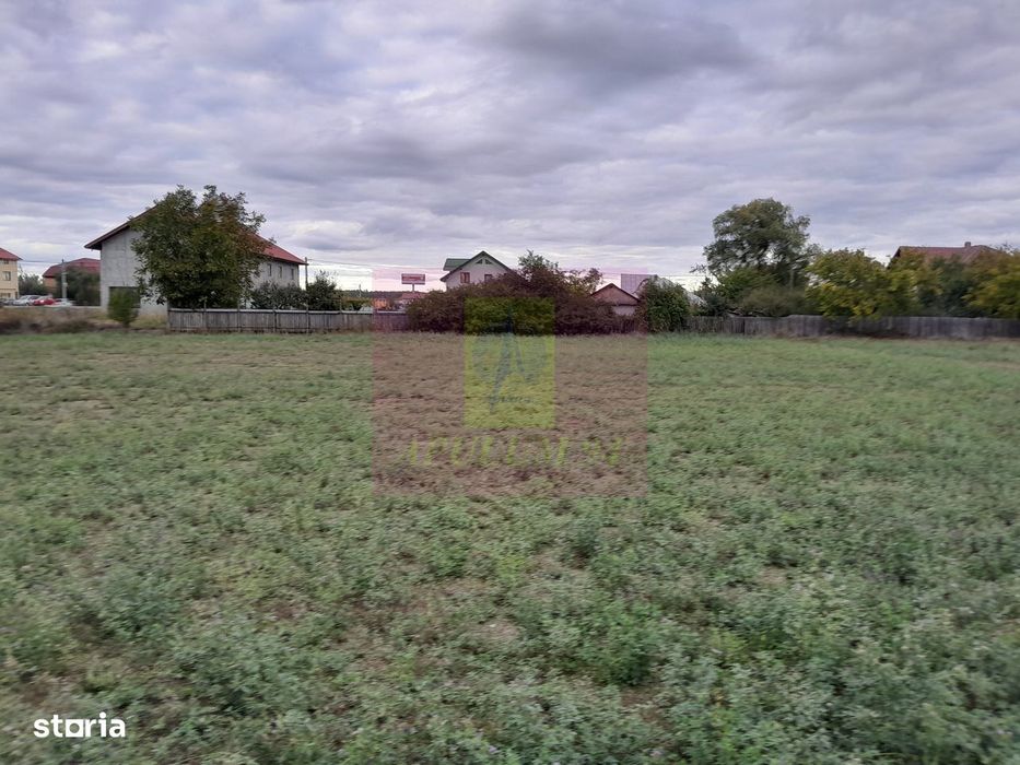 Cosereni (Il) - Se Vinde Teren 2000 Mp La Sos Bucuresti -Urziceni