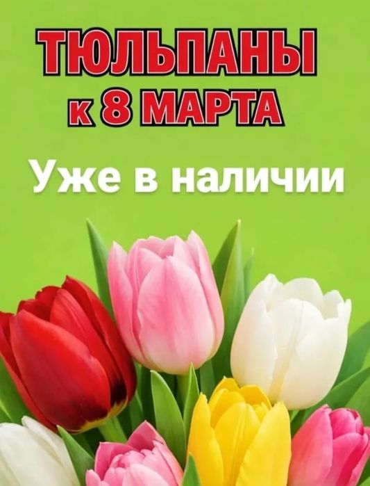 Продажа ТЮЛЬПАН на 8 МАРТА