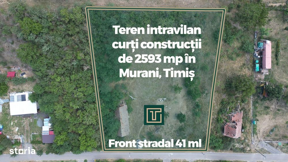 Teren intravilan de 2593 mp, pe deal, cu vedere catre sat, in Murani