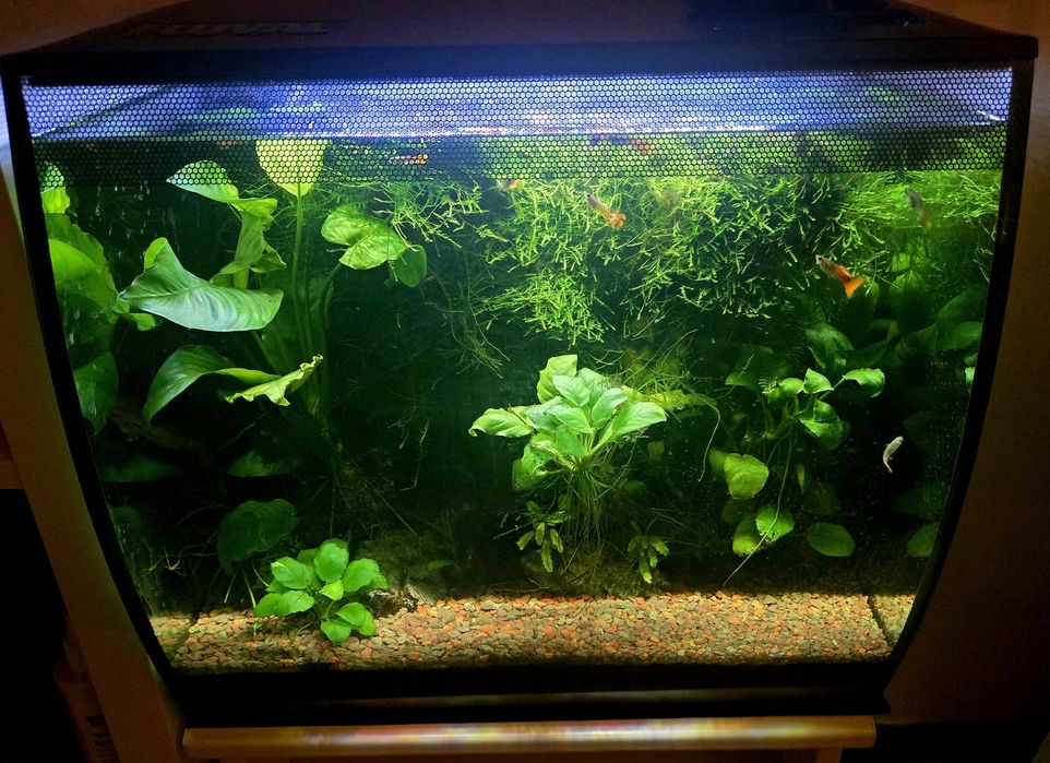 Acvariu Fluval Flex 57