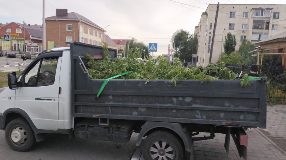 Услуги газели _ самосвал газель