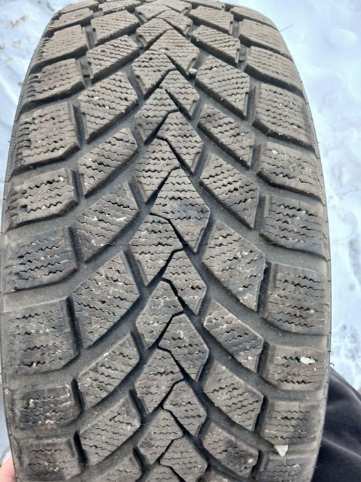 Зимний пагришка жаксы