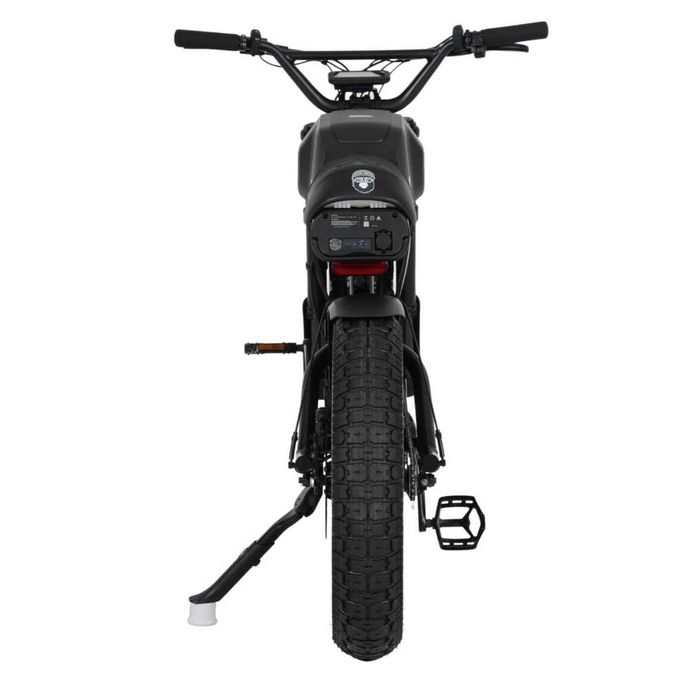 Bicicleta electrica Ape Ryder Gibbon