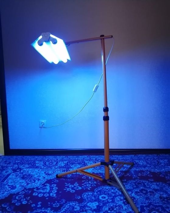 саргаюга карсы лампа